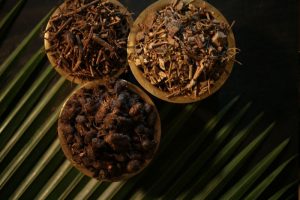 Trattamenti Ayurvedici India