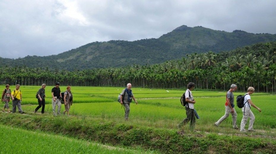 Bamboo Village Kerala India