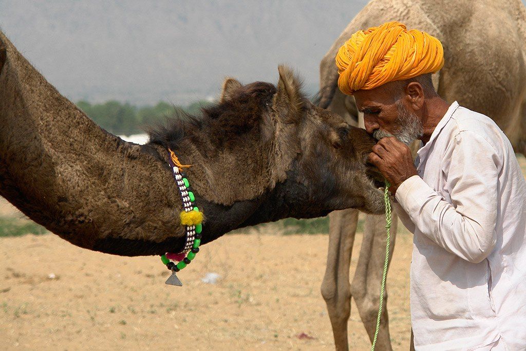 Pushkar Festival dei cammelli India Turismo responsabile e sostenibile