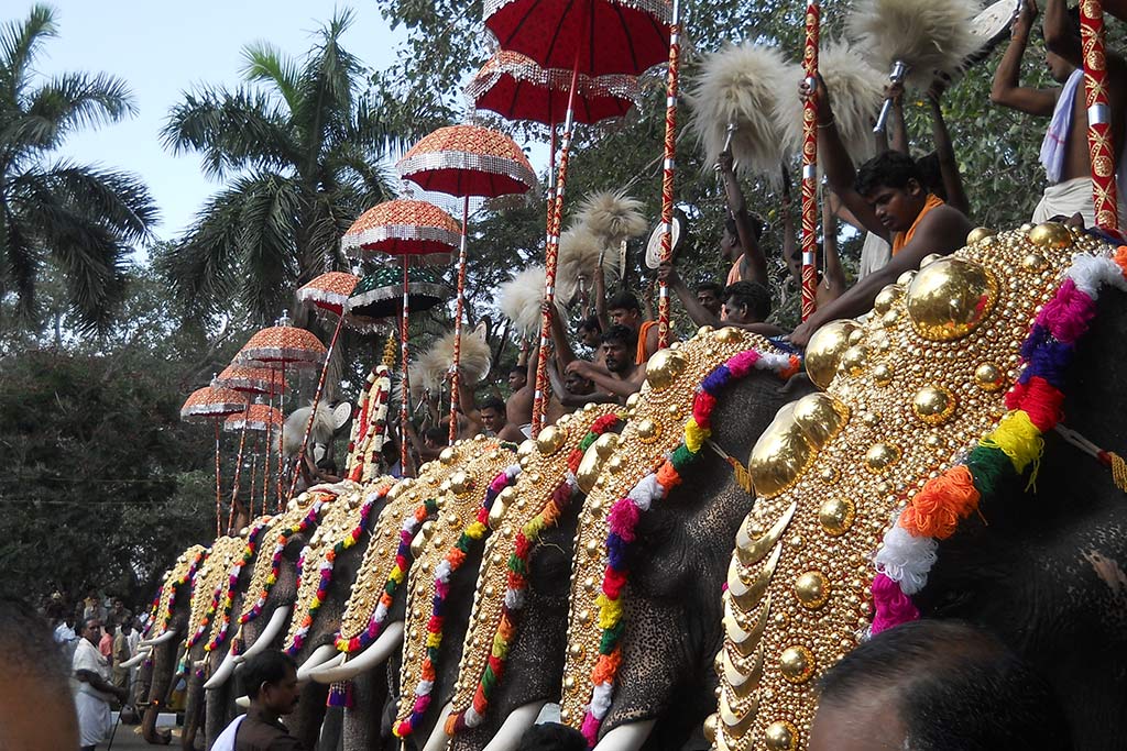 Thrissur Pooram India elefanti Turismo responsabile e sostenibile