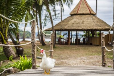 Koh Phra Thong