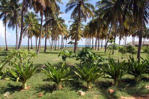 Nilaveli beach