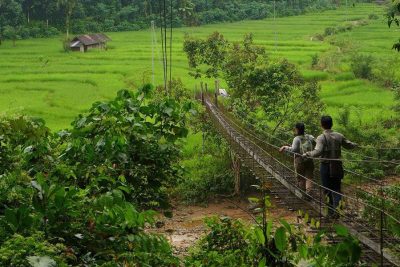 Borneo