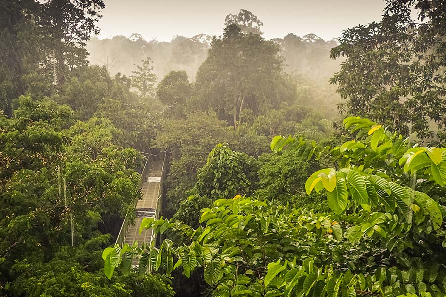 viaggio in malesia