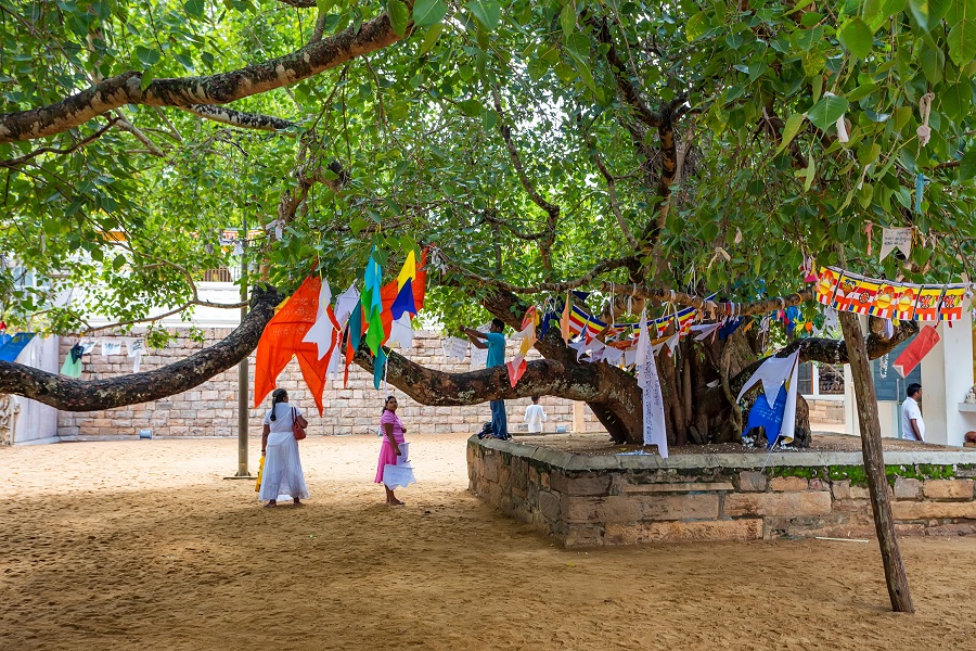 anuradhapura