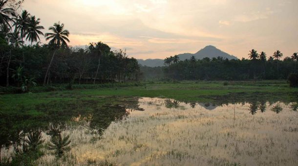 kerala