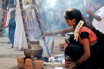 pongal