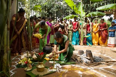 pongal