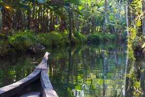 backwaters