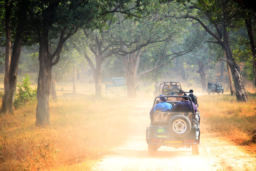 Bandhavgarh