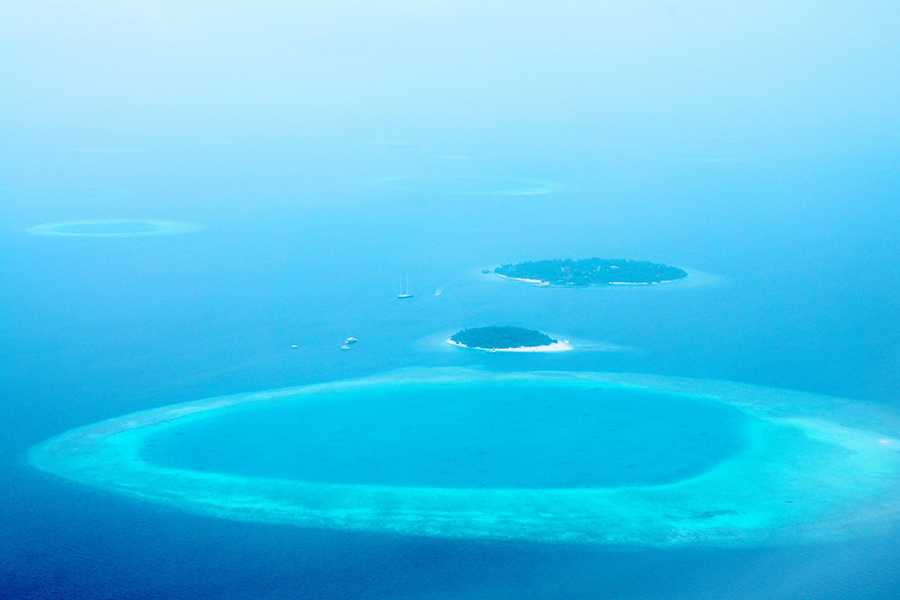 maldive