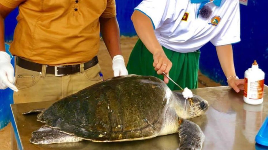 volontariato in sri lanka