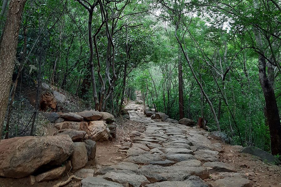 tiruvannamalai