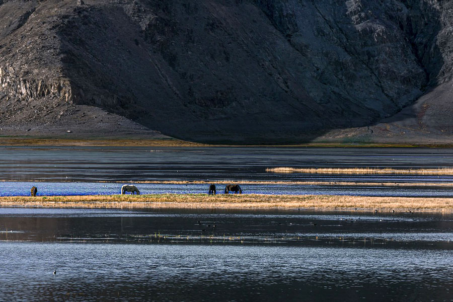 lago pangong