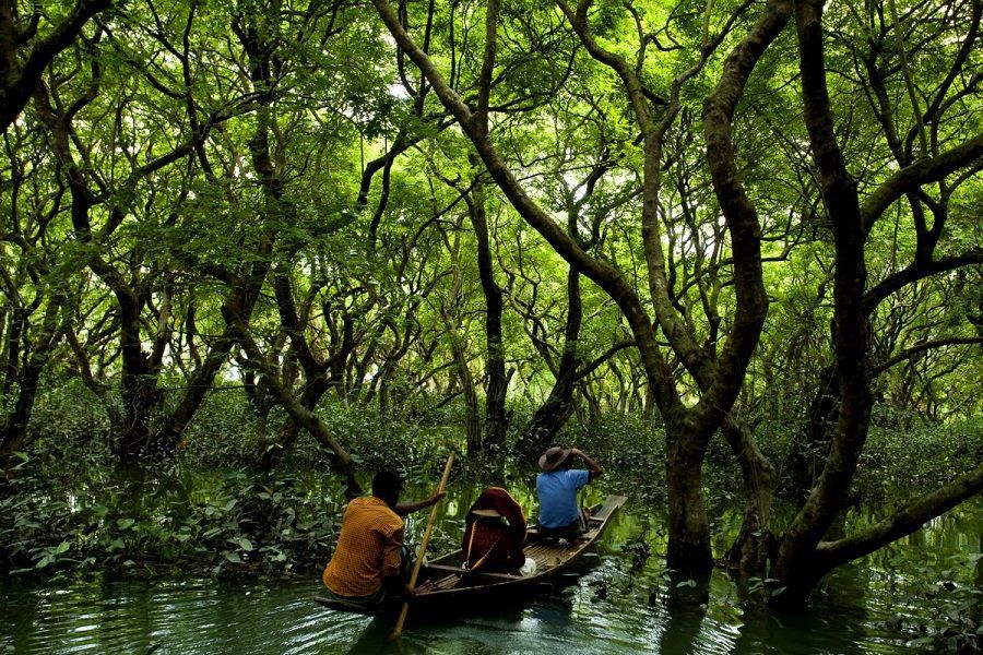 Sundarbans