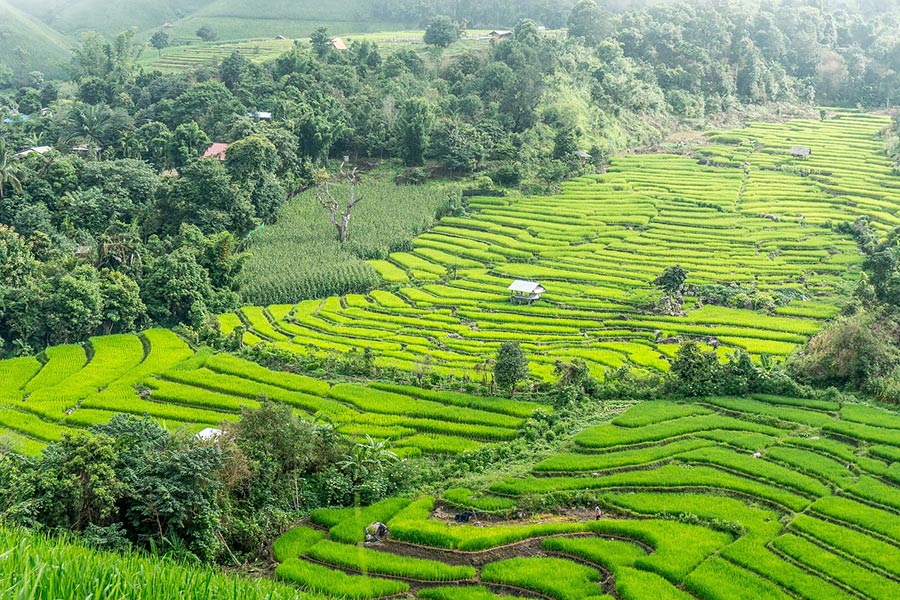 chiang mai