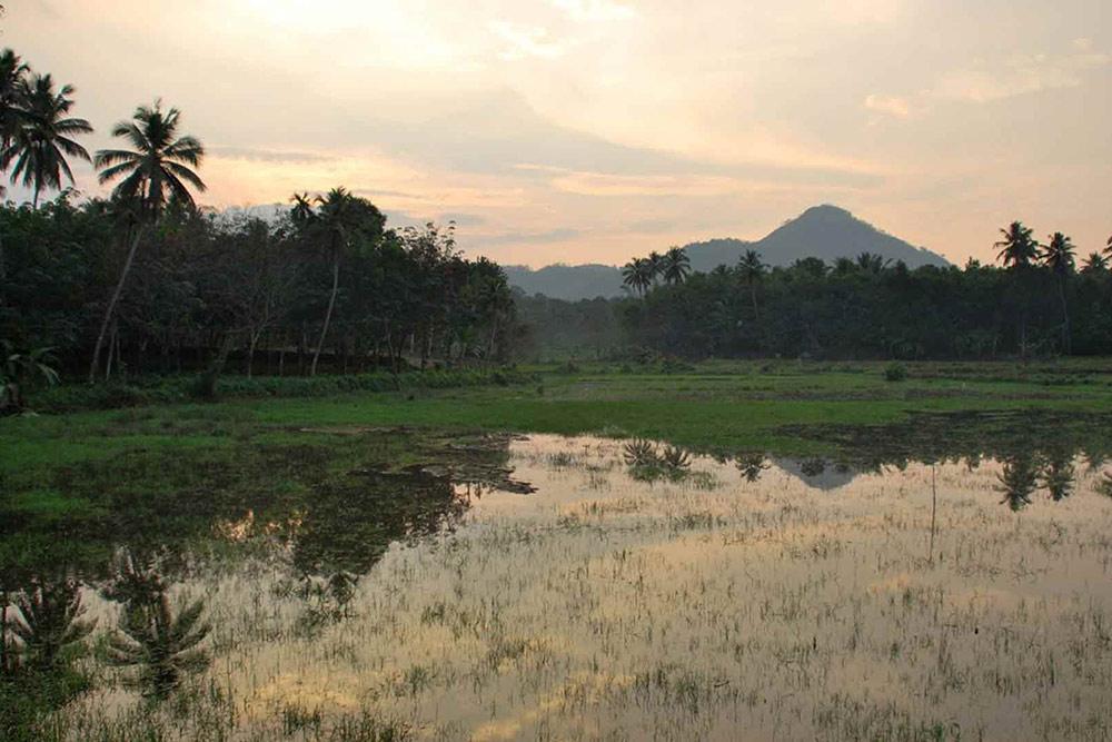 kerala