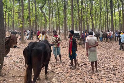 chattisgarh