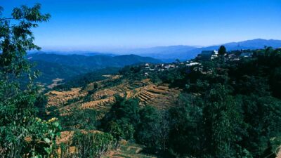 Nagaland