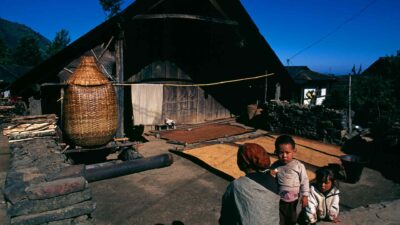 Nagaland